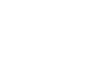 Therapy Beds Haven